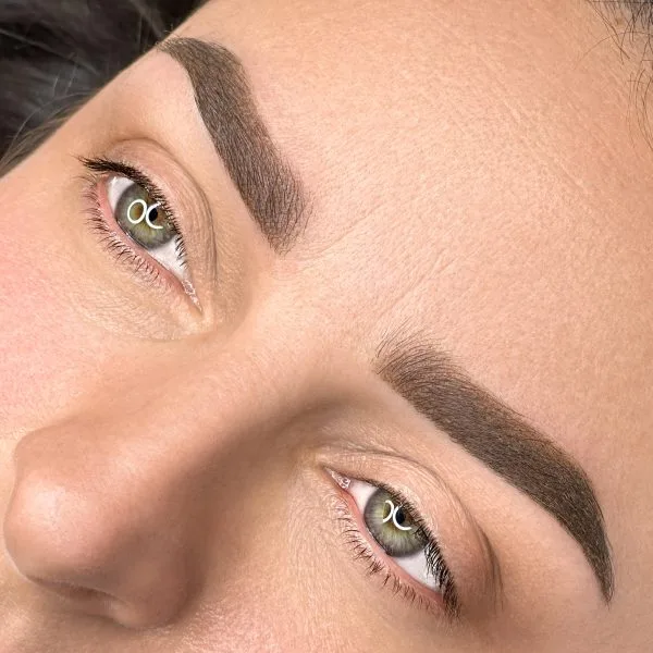 Healed powder brow result — crisp arch, green eyes